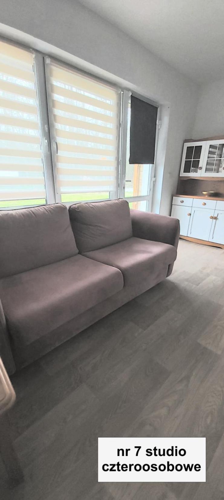 Willa Wieniotowo Apartamenty Przy Lesie I Plazy Ap Am Wald Und Strand 尤斯托尼莫斯基 外观 照片